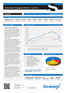 shsf - global macro portfolio